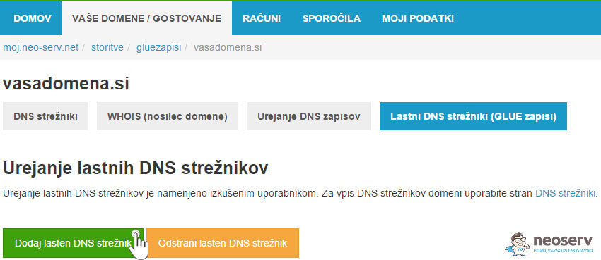 Dodajanje lastnega DNS strežnika - vpis nastavitev